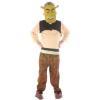 Costum shrek copil