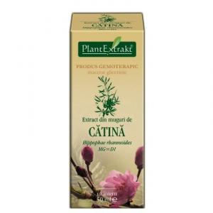 Extract din Muguri de Catina Alba *50 ml