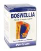 Boswellia *30cps