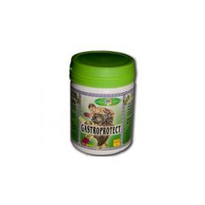 Gastroprotect *60cps