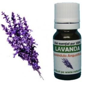 Ulei Esential Lavanda 10ml