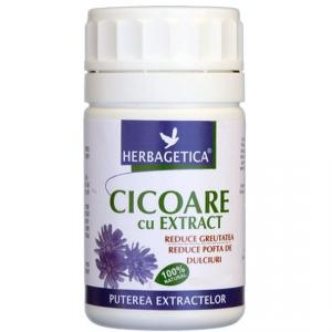 Cicoare Extract *40cps
