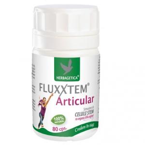 Fluxxtem Articular *80cps