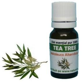 Ulei Esential Tea Tree 10ml