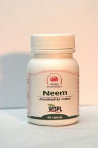 Neem 450mg *60cps