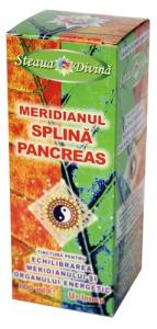 Tinctura Meridian Splina Pancreas 100ml
