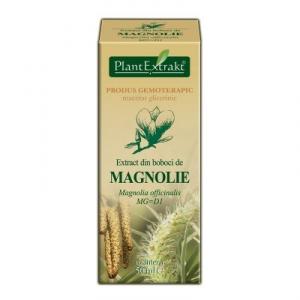 Extract din Boboci de Magnolie *50 ml