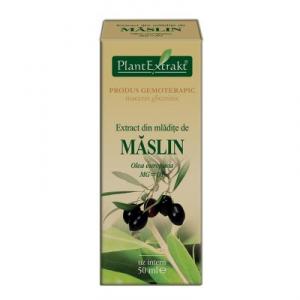Extract din Mladite de Maslin *50 ml