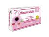 Echinacea vitalis *30cpr