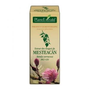 Extract din Muguri de Mesteacan *50 ml