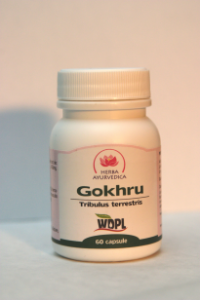 Gokhru 450mg - 60 capsule