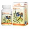 Boswellia *60cpr