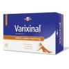 Varixinal 60 tablete + gel 75ml