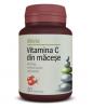 Alevia vitamina c cu macese *20cpr