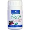 Paducel cu extract *40cps