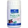 Paducel cu Extract *40cps