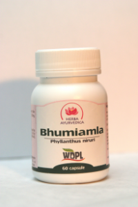 Bhumiamla 500mg *60cps