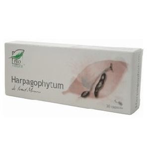 Harpagophytum *30cps