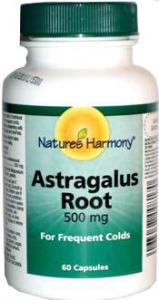 Astragalus 500mg *60cps