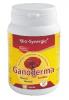 Ganoderma 720mg *60cps