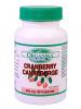Extract concentrat de cranberry 300mg *90cps