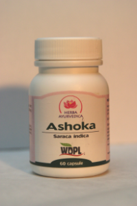 Ashoka 500mg - 60 capsule