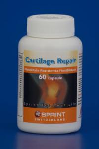 Cartilage Repair - 60 capsule