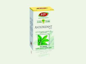 Fares Antioxidant *60cps
