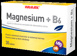 Magnesium + B6 *30tbl