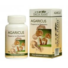 Agaricus *60cpr