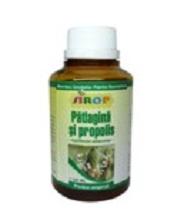 Sirop Patlagina si Propolis *100 ml