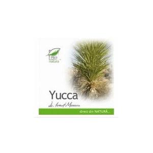 Yucca *200cps