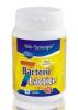 7 bacterii lactice 300mg *20cps