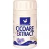 Cicoare extract *80cps