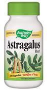 Astragalus Root (stimulator al celulelor stem) - 100 tablete