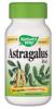 Astragalus root (stimulator al celulelor stem) - 100