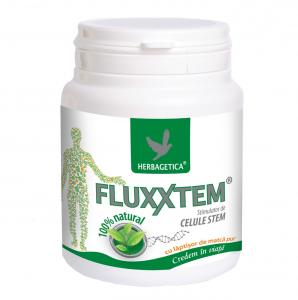 Fluxxtem 250ml