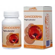 Ganoderma *60cpr