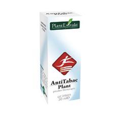 Antitabac plant