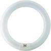 Tub fluorescent mst tl-e circular 32w/840