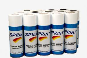 Sprint Spray Vopsea Argintiu Crom