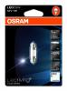 Osram cool white bec led c5w sv8,5