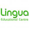 SC LINGUA EDUCATIONAL SRL