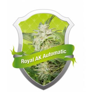Royal AK Automatic 1 buc