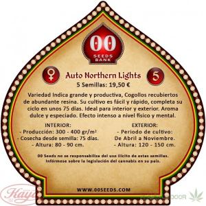 Auto Northern Lights