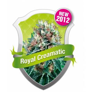 Royal Creamatic 3 buc