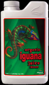 Iguana Juice Bloom 1l