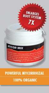 Mychor Mix 100 g