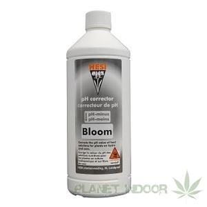 PH-Bloom 1 L
