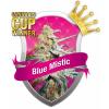 Blue mistic 5 buc